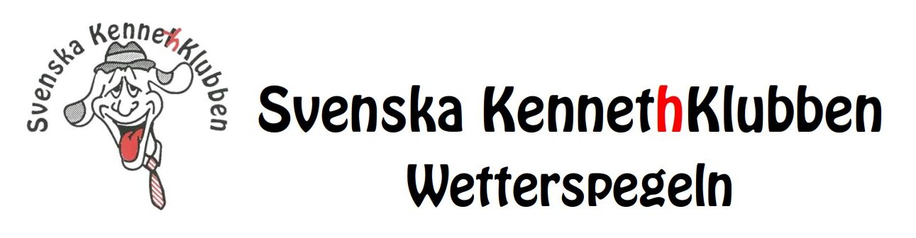 Wetterspegeln